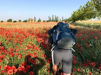 In actie voor de vogende foto