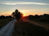 Zon opkomst