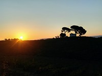 Uitzichten