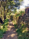 Heerlijk door de bossen