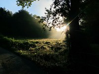 Ochtendstond