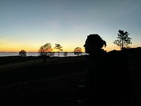 Silhouet Arlene