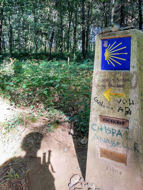 50 km paal