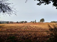 Goudenuurtje zon opkomst