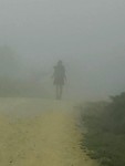 Met hoofd in de wolken