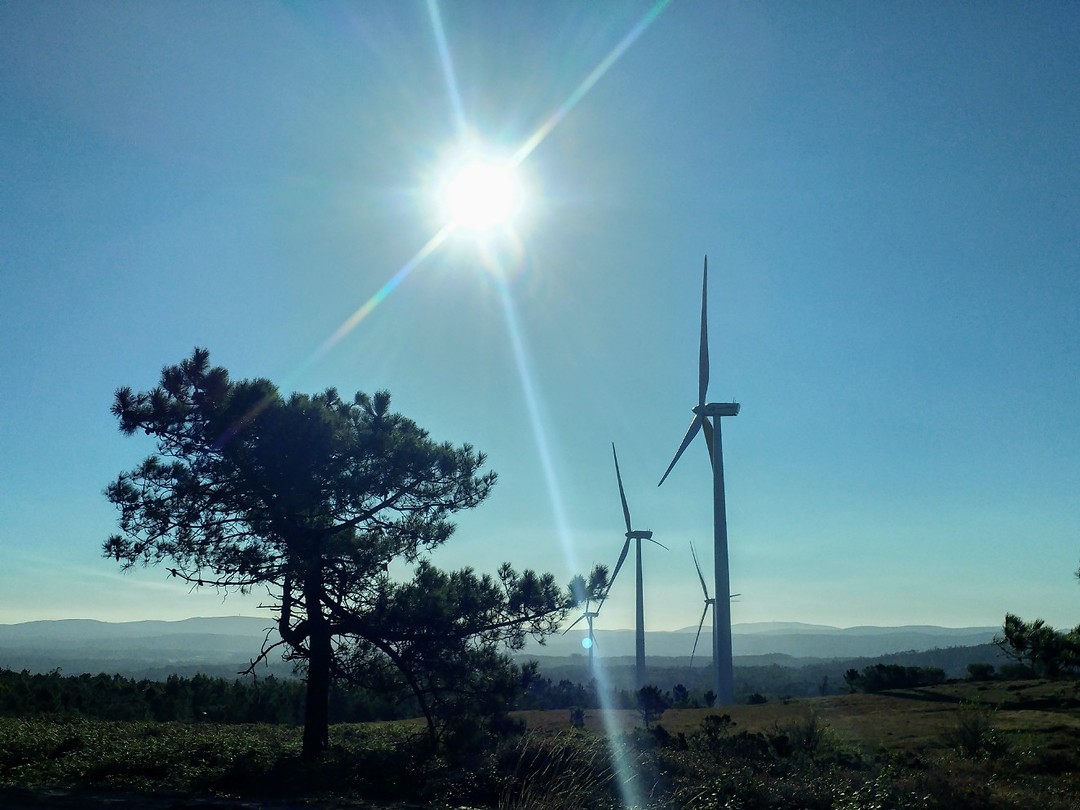 Windmolens sieren het uitzicht