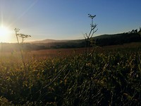 Genieten van de laatste wandeling