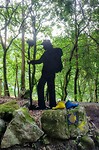 In het bos