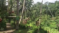 Bali swing over de rijstvelden