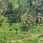 Richard via Zipline