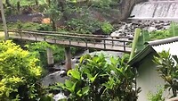 Hiking