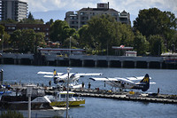Watervliegtuigjes in de haven
