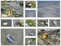 23 juni collage