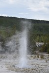 _DSC0699