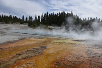 West Thumb Geyser Basin