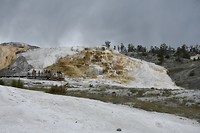 Mamammoth Hot Springs