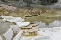 Mammoth Hot Springs