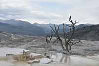 Mammoth Hot Springs