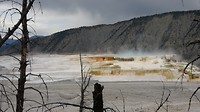 Mammoth Hot Springs