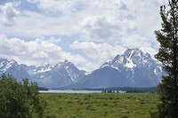 De bergen bij Grand Teton