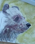 Making off grizzleys