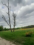 Wandelpauze