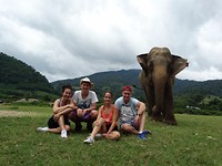 4 olifant