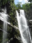 waterval jungle