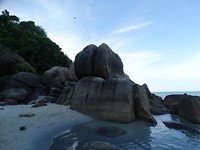 rotsen lamai