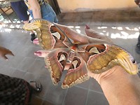 P1020070