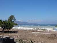 P1020351