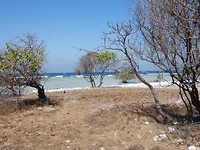 P1020362