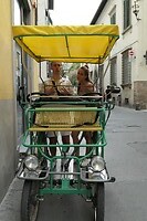 haagse fiets