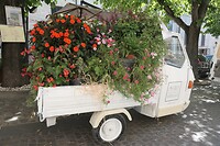 spello