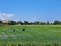 1000016686