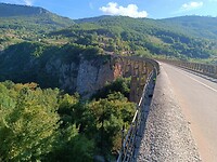 Tara Bridge