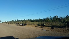 Inschattingsfoutje: 70 km dirtroad