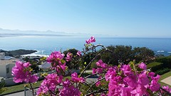 An Ocean Watch @Plettenberg