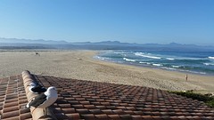 Private beach @Plettenberg