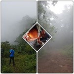 Wandeling in de mist