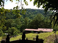 Querenzia Farm
