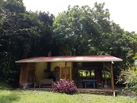 Querenzia Homestead Bunk