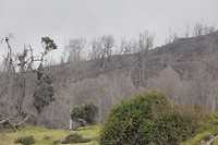 Turriabla