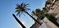 Port de Soller