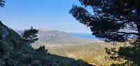 Soller