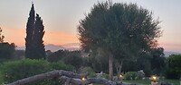 Finca Son Flo