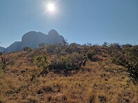 Marakele NP