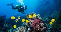 bonaire-scuba-promo