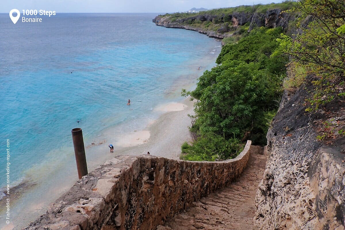 1000-steps-bonaire-cliffs-beach
