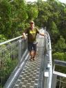 Tree Top Walk